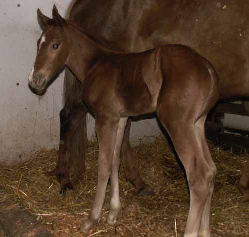 Less than 24hrs old