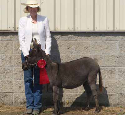 2015 Oregon Show