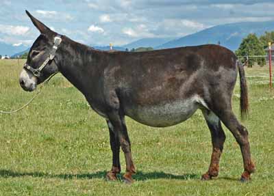 Picure taken July 21 2012