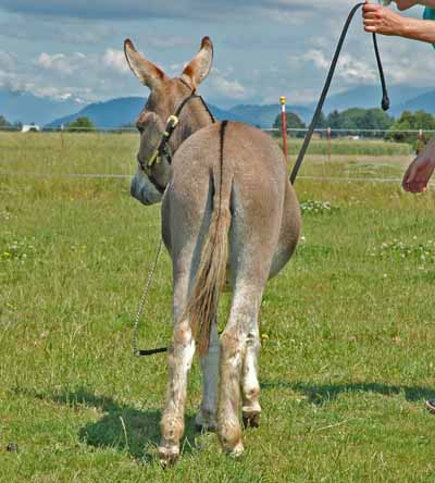 Picure taken July 21 2012