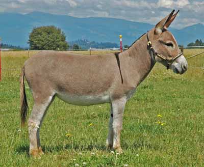 Picure taken July 21 2012