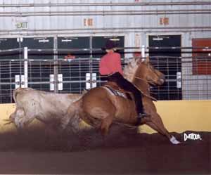 Julie on Yellar at NRCHA show