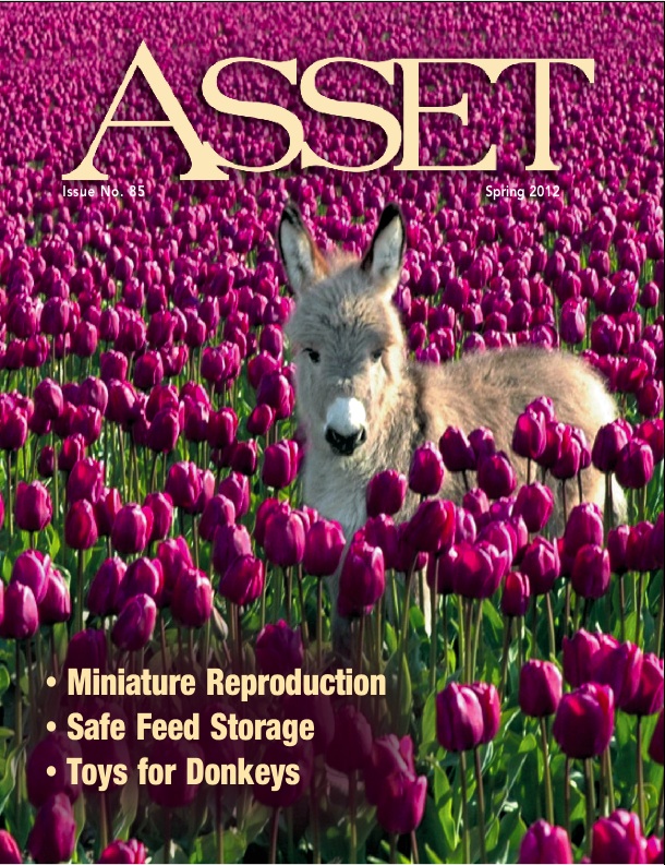 Asset Cover