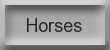 Horses for Sale