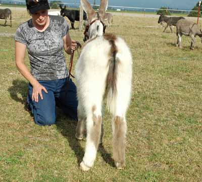 Picture taken Sept 2011