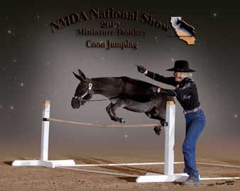 2010 NMDA Nationals
