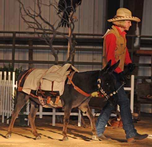 Julie showing Trail at Nationals